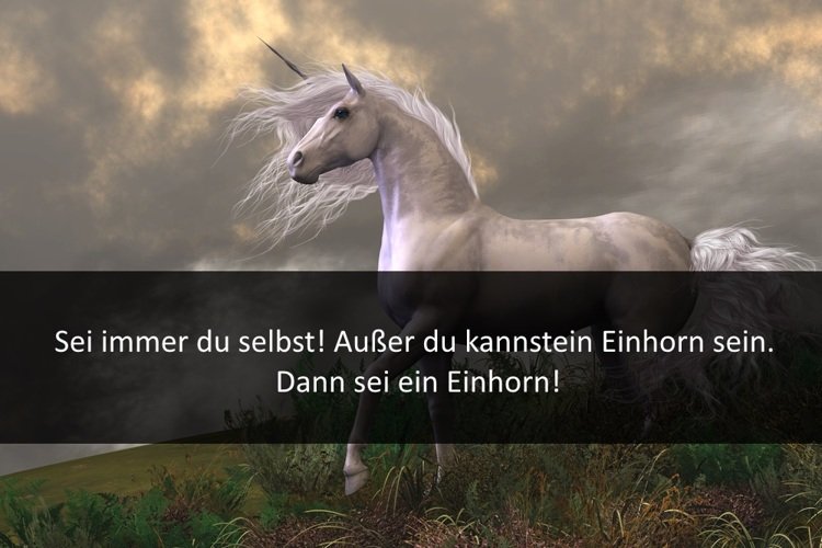 einhorn-rcm992x0.jpg