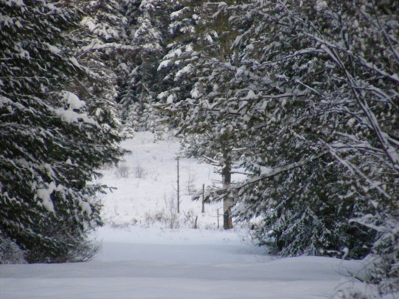 DSCF0220.JPG