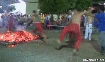 tumblr_n92suokY6B1s02vreo1_400.gif