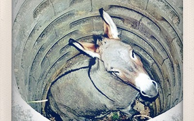 donkey-in-a-well-400x250.jpg