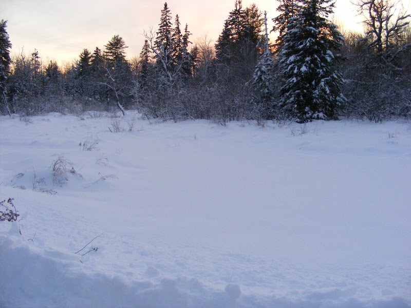 DSCF0243.JPG