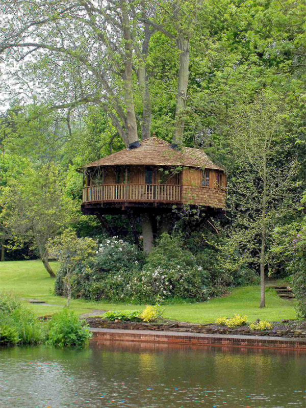 tree_house2.jpg