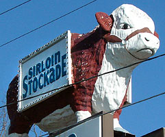 07-04-07-306.jpg