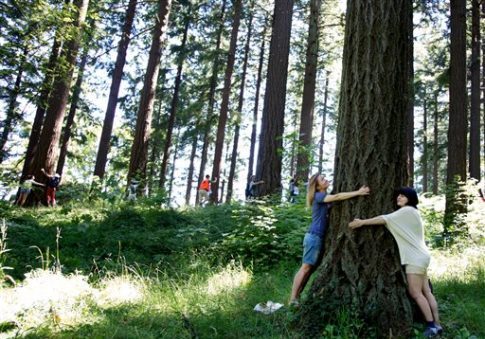 tree-hugger-e1471299198130.jpg