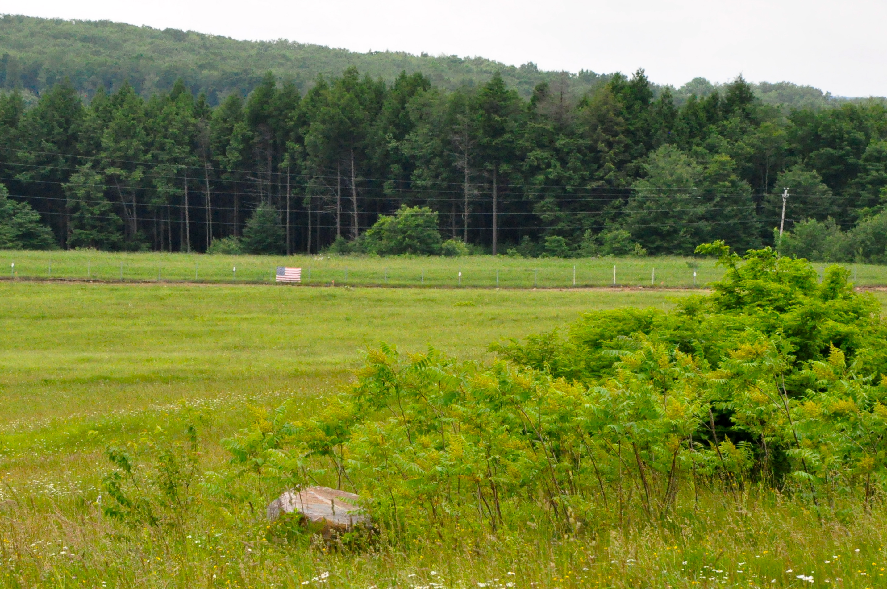 DSC_0146.JPG