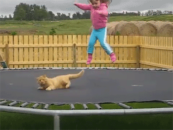tumblr_ncgw08hFjg1s8rz3mo1_400.gif