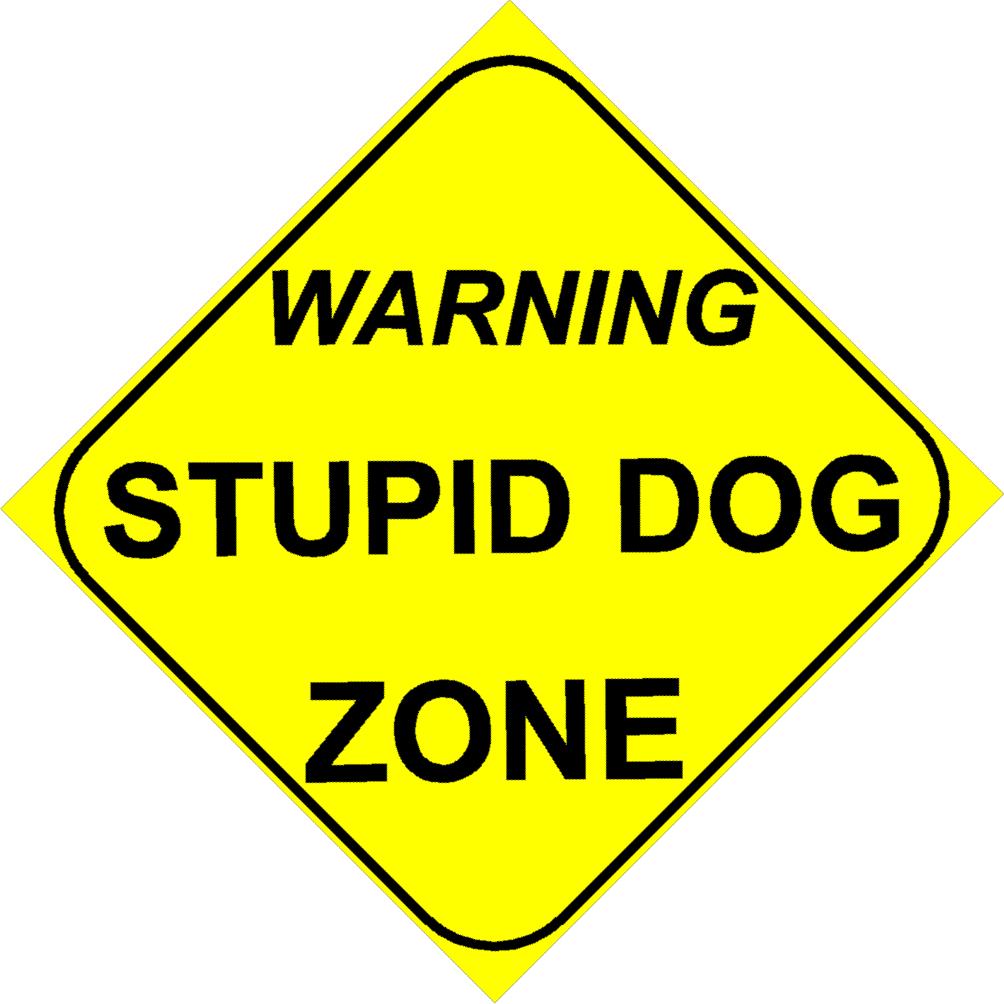 Zone_Stupid_Dog.jpg