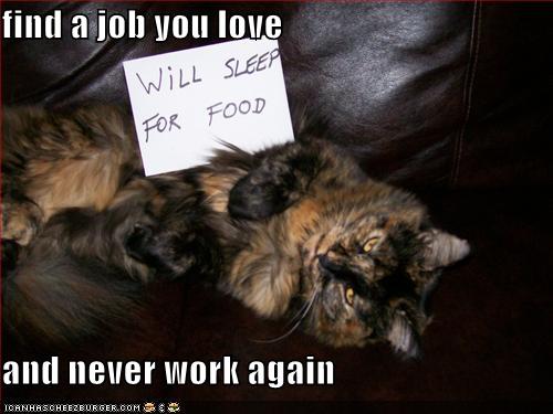job%2Blolcat.jpg
