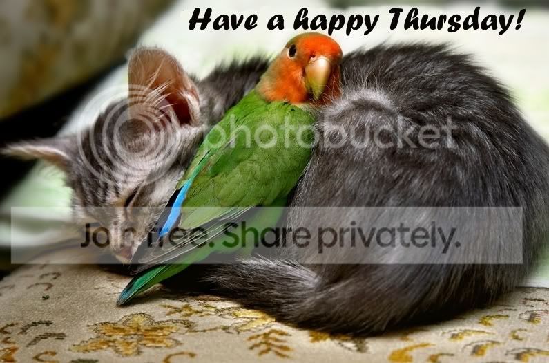 HappyThursday.jpg