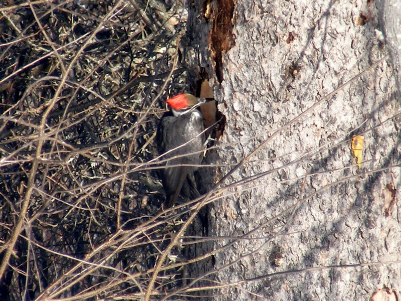 DSCF0381.JPG