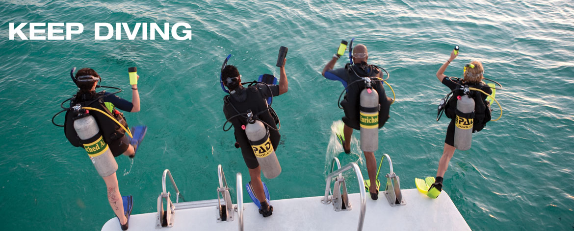 keep-diving.jpg