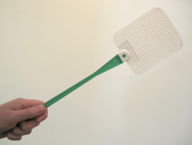 Fly-swatter.jpg