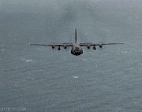 1243418876_airplane-decoy.gif