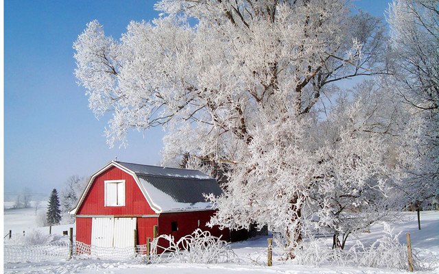 FrostyTreeFRLDJ13_p8-640x400.jpg
