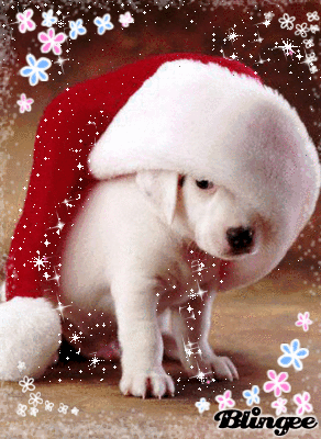 340705743_1645789.gif