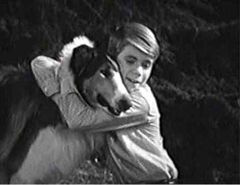 timmy-lassie.jpg