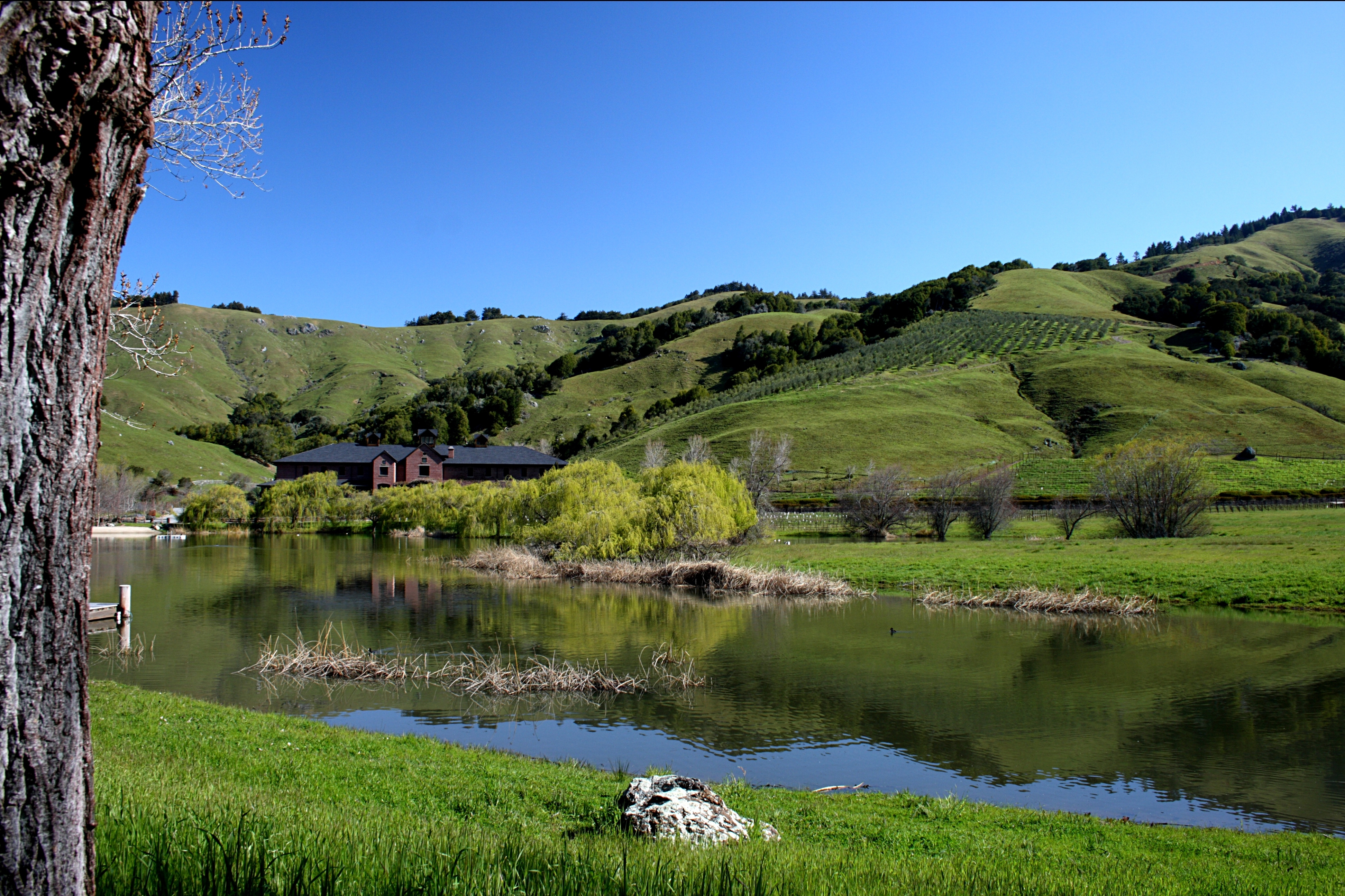 Skywalker_Ranch_Ewok_Lake.jpg