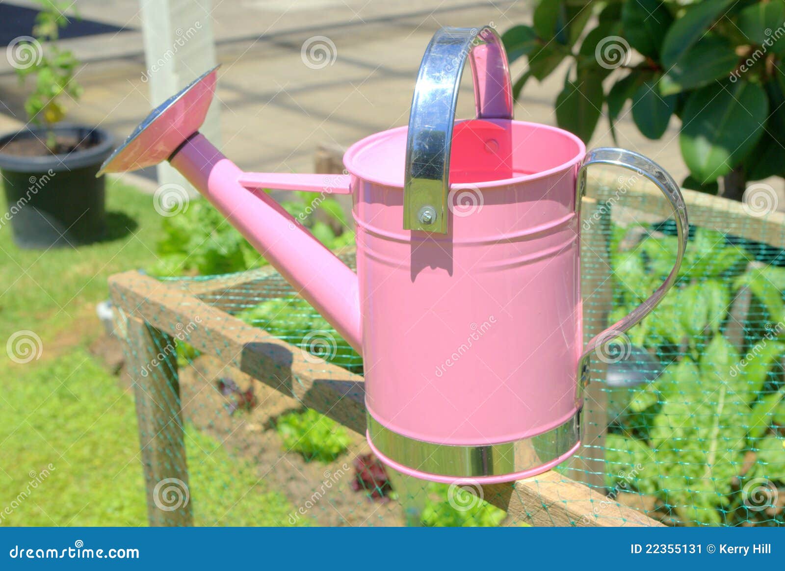 childs-pink-watering-can-22355131.jpg