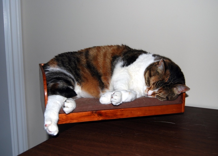 kit-inbox-small.jpg
