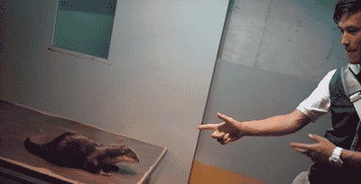 115.gif