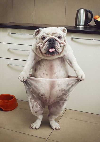 acid_picdump_47.jpg
