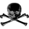 skull-and-crossbones.jpg