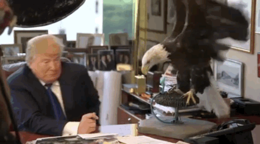 eek.nocrop.w529.h311.gif