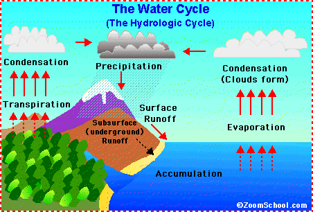 Watercycle.GIF