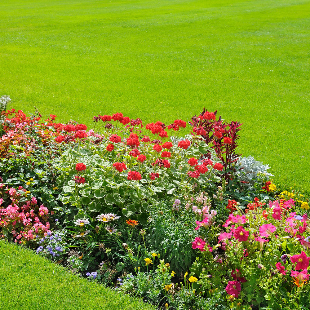 16-colorful-garden.jpg