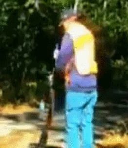 cm7WKHp.gif