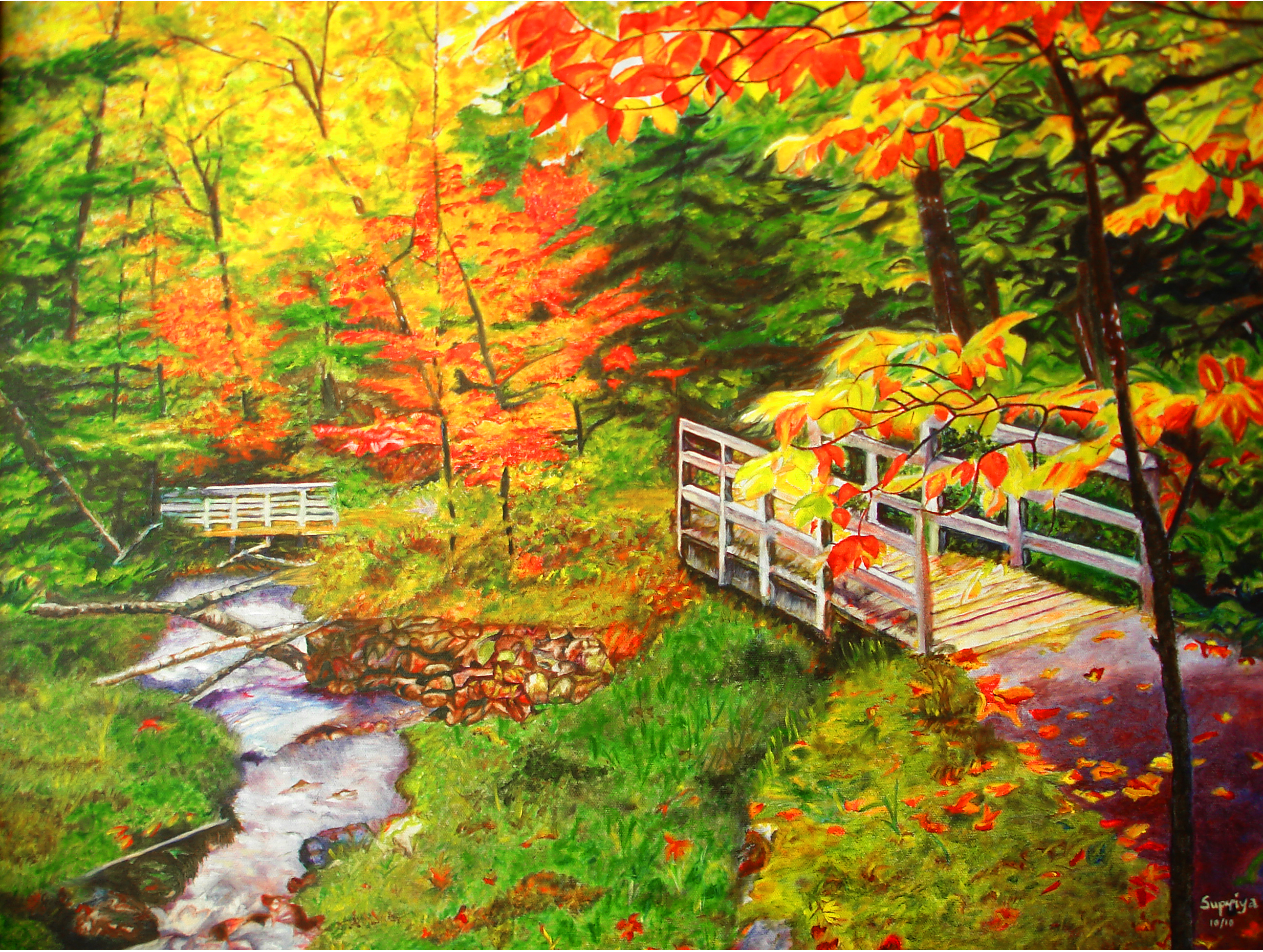 SupriyaTambve_FallColors.jpg