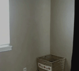 N3jGK8k.gif