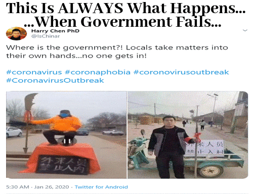 imageedit_5_4846161885.gif