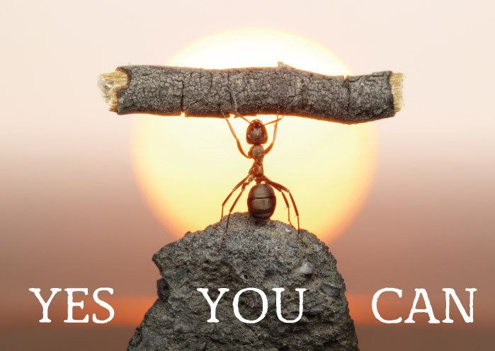 zintenz-magnet-yes-you-can.jpg
