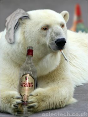drunkpolarbear.jpg