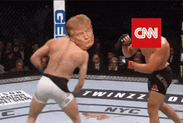 TrumpCNN3.gif