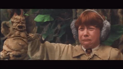 54b3a377-ed1d-4d10-986f-4a0d1084e92d.gif