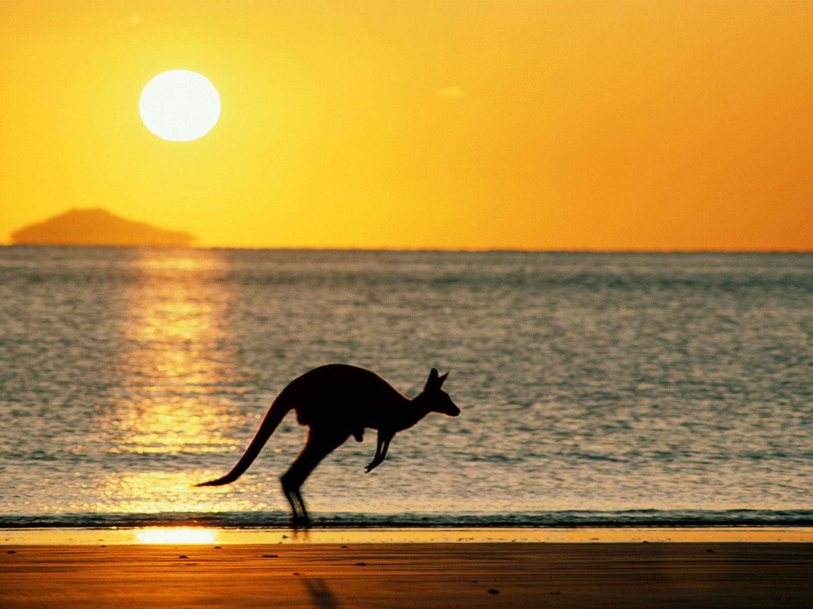 australia+(16).jpg