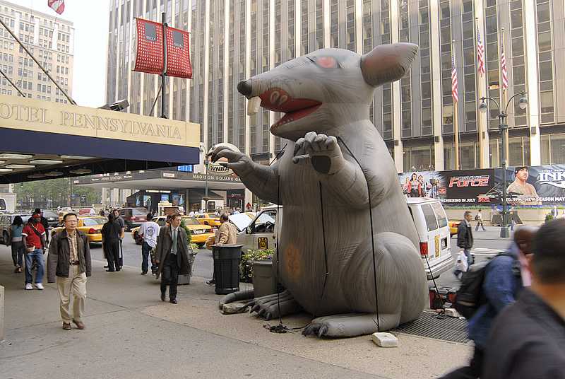 union_rat_2_a.jpg