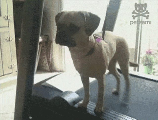 5B2dkl.gif