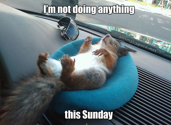 sunday-squirrel-meme.jpg