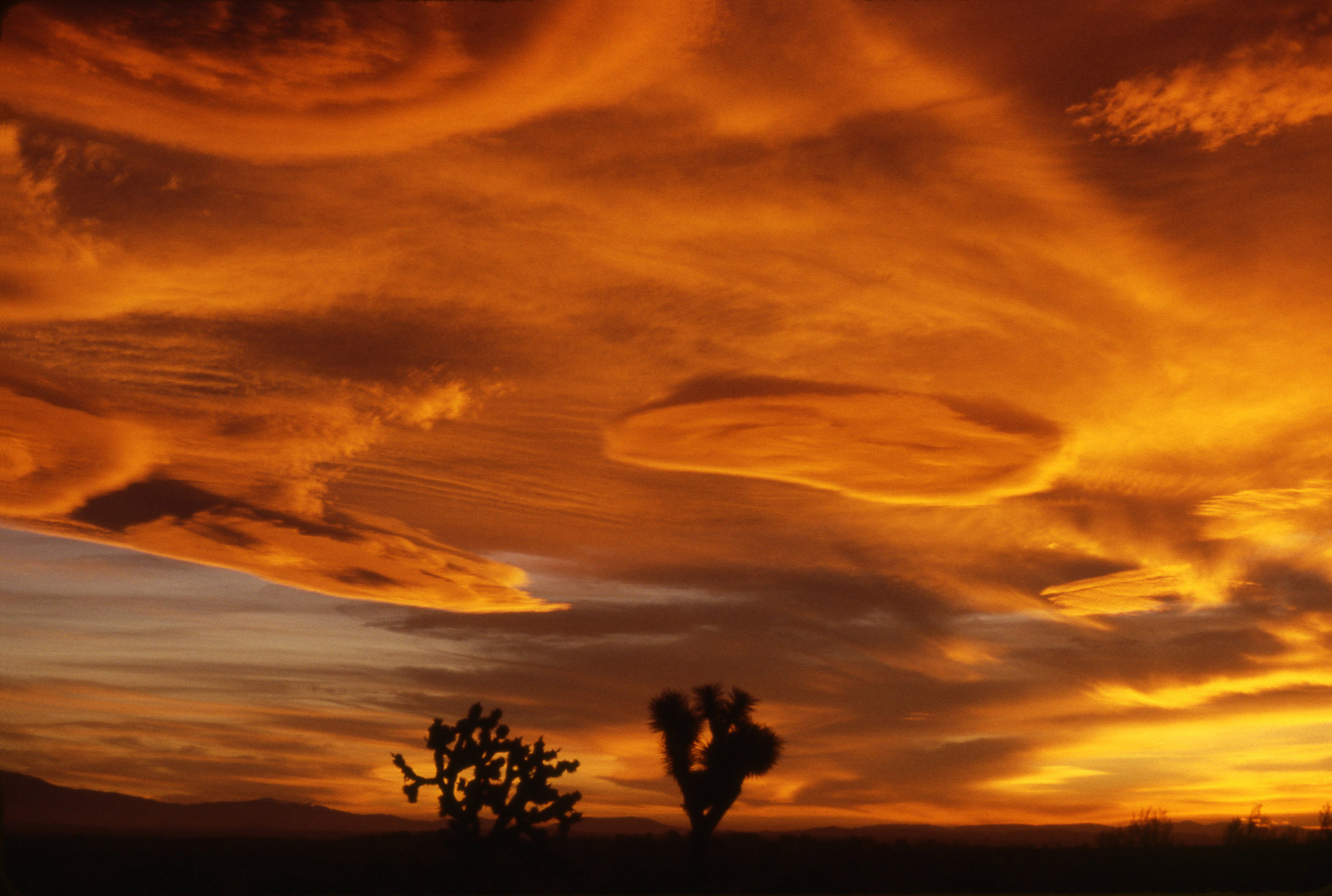 desert_sunset_scrubbed.jpg