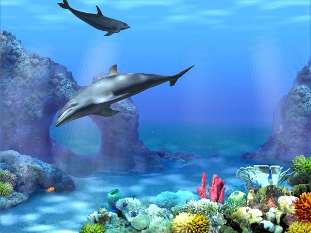 Living-3D-Dolphins-screensaver.jpg