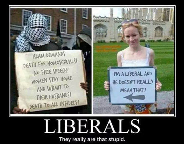 Liberals-are-that-stupid-about-Islamists.jpg