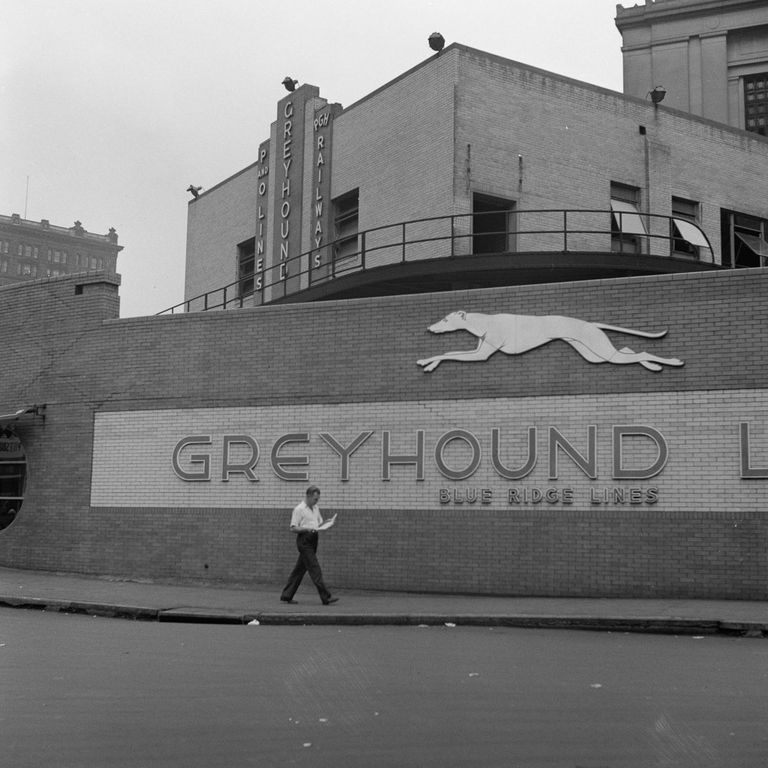 greyhound2.jpg