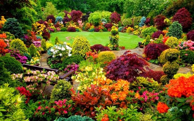 beautiful-backyards-1.jpg