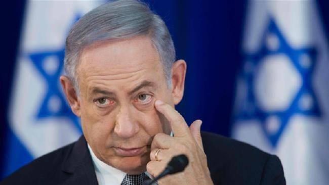 Bibi.jpg