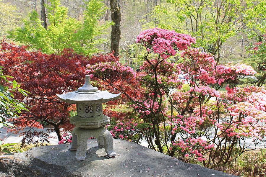 pretty-japanese-garden-mary-goodreau.jpg