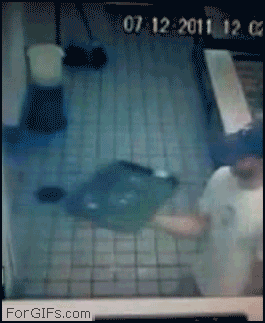 funny-gif-tray-win.gif