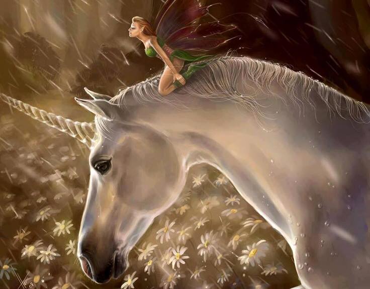 unicorns-and-fairies.jpg